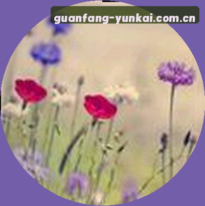 王芳